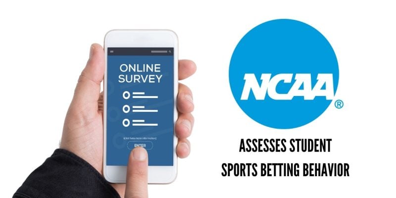 person taking online survey on phone represents students participating in ncaa sports betting survey