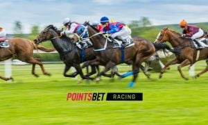 thoroughbred horse race pointsbet racing logo
