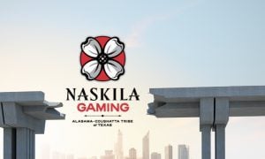 an incomplete bridge with the naskila gaming logo in the gap
