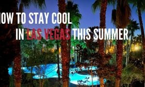 Outdoor Pool with palm trees In Las Vegas and how to stay cool in the summer