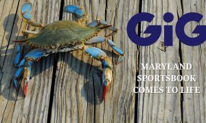 blue crab sitting on wooden planks next to the gaming innovation group logo