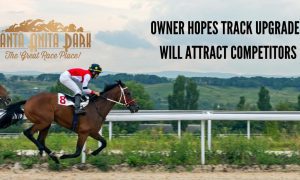 horse carrying jockey races under santa anita park logo