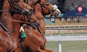 race horses line up next to outline of kentucky