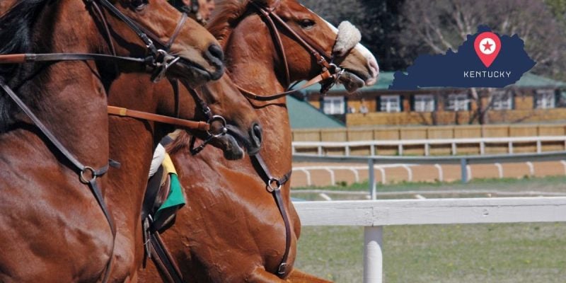 race horses line up next to outline of kentucky
