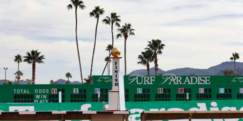 Finish Line At Turf Paradise Horse Racing Track In Arizona
