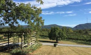 shenandoah valley mountains and foliage in virginia