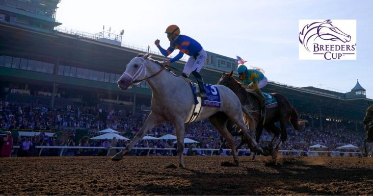 Irad Ortiz Jr. Reacts To Winning 2023 Breeders' Cup Classic Horse Race with Breeders' Cup logo