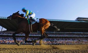 American Pharoah Gallops Past Grand Stand at 147th running of Belmont Stakes