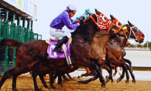 Horses Break From The Gate at Fonner Park in Grand Island, Neb