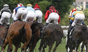 thoroughbred horses racing