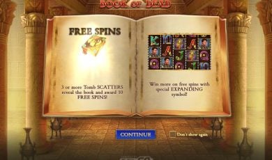 Book of Dead Slot Review logo