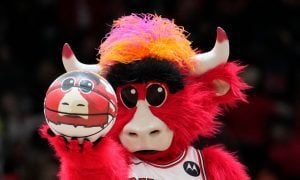 Chicago Bulls mascot