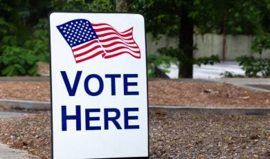 Georgia Constitutional Amendment Voting