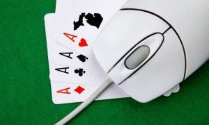 mouse on playing cards