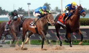 Pegasus World Cup horse racing