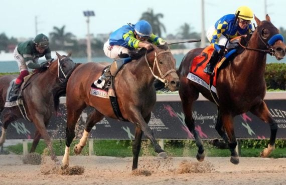 Pegasus World Cup horse racing