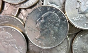 Close Up Of Quarter Face