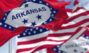Arkansas Flag