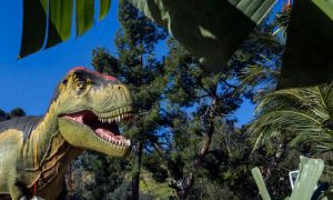 Life-size Tyrannosaurus Model At Los Angeles Exhibit