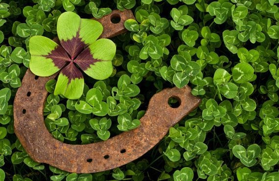 Lucky horseshoe in a field of clovers
