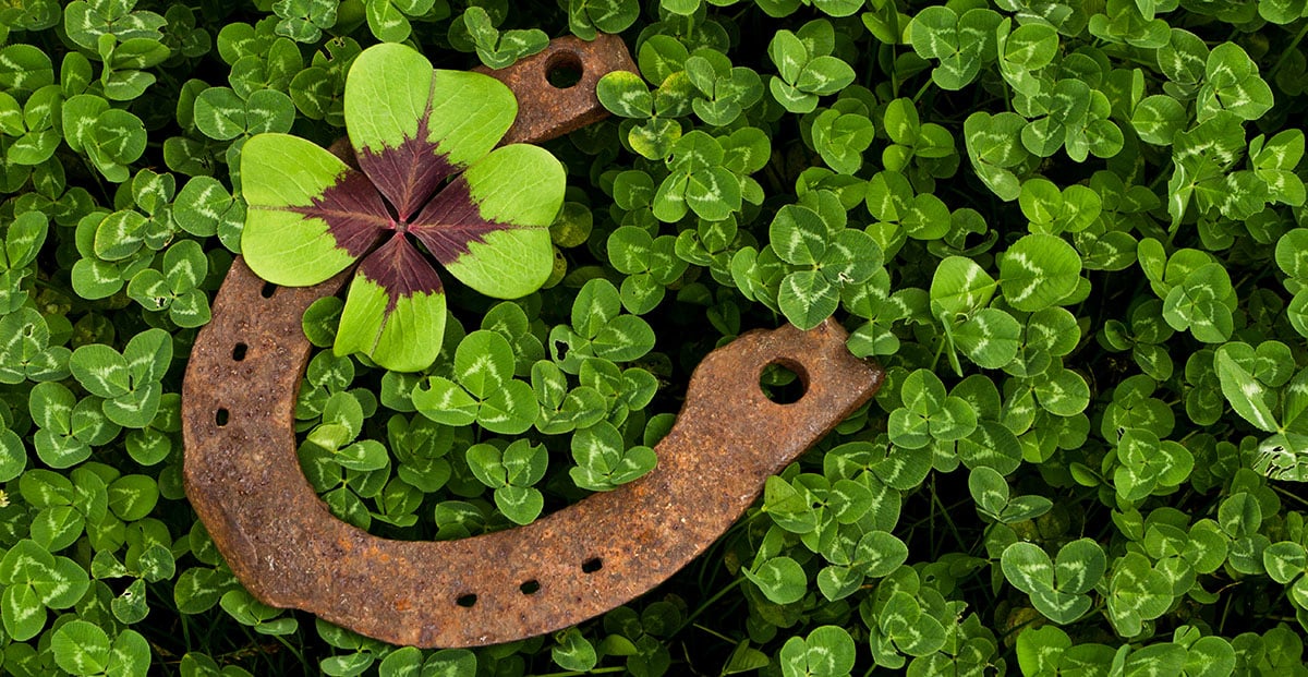 Lucky horseshoe in a field of clovers