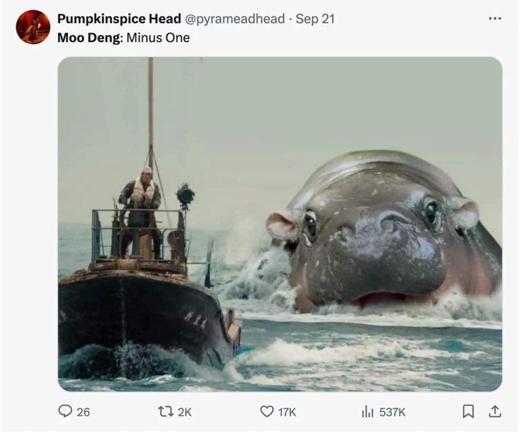 moo deng chasing ship in water