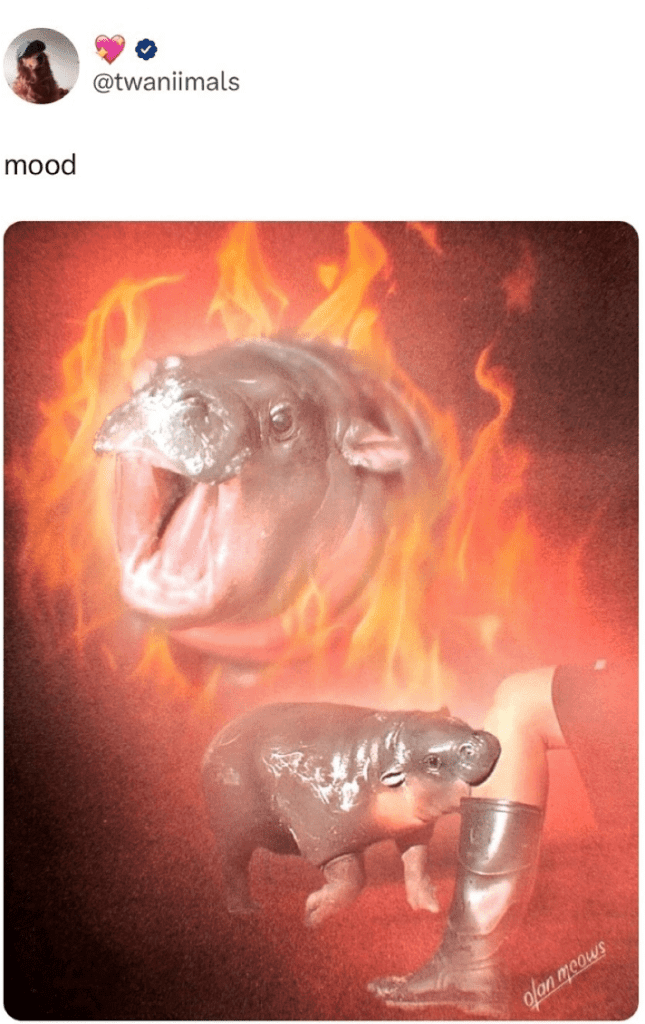 moo deng bites legs flames