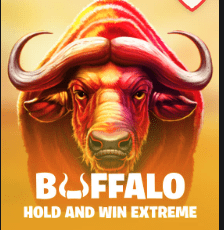 Buffalo Hold N Win Extreme at WOW Vegas