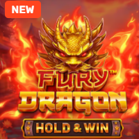 Fury Dragon at Fortune Wheelz