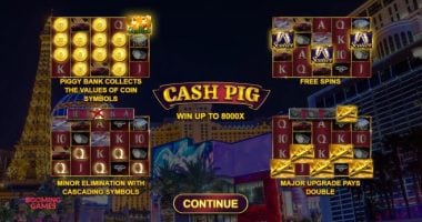 Cash Pig slot game