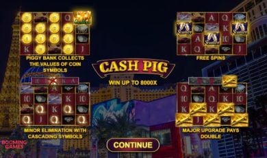 Cash Pig slot game