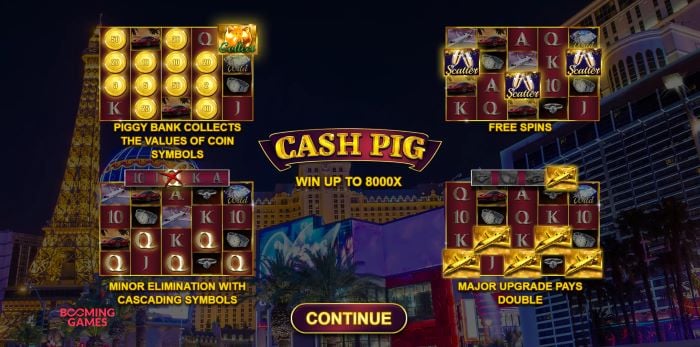 Cash Pig slot game