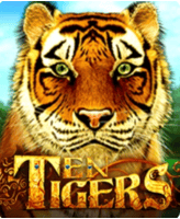 Ten Tigers at Carnival Citi