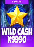 Wild Cash x9990 at Punt Casino