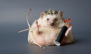 a hedgehog holding a bow and arrow with hearts on top of them