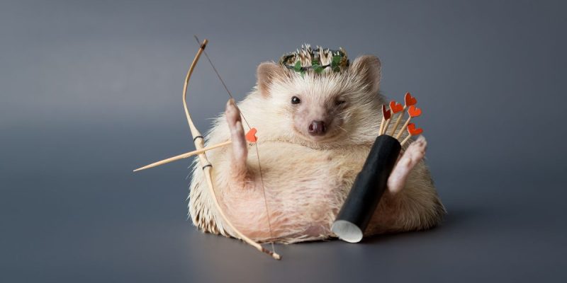 a hedgehog holding a bow and arrow with hearts on top of them