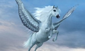 an illustration of a pegasus flying in the sky