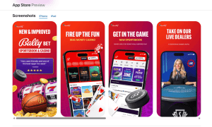 Bally Bet mobile views