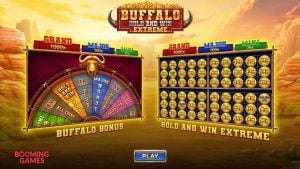 Buffalo Hold N Win slot entry screen