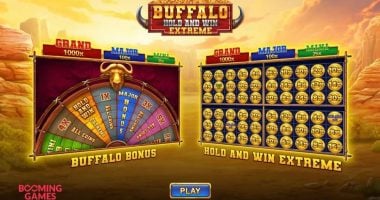 Buffalo Hold N Win slot entry screen