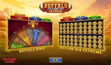 Buffalo Hold and Win Slot Review logo