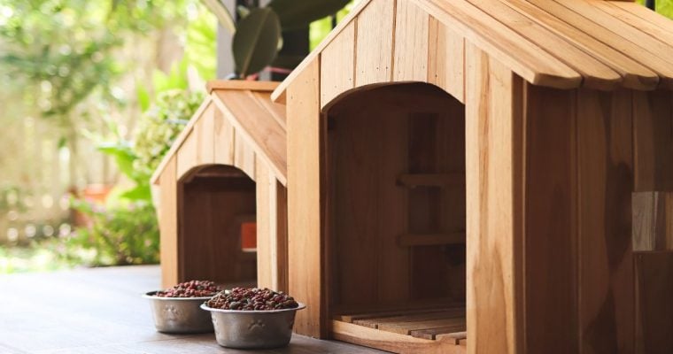 a pair of dog houses with bowls of food in front of them