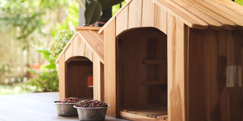 a pair of dog houses with bowls of food in front of them