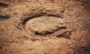horseshoe print