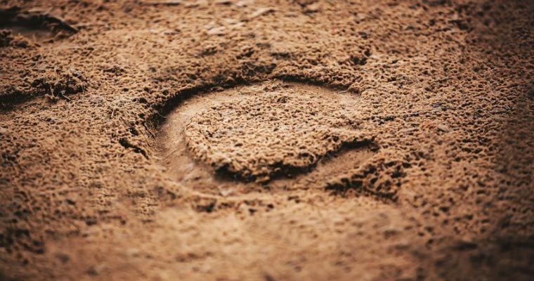 horseshoe print