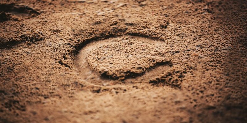 horseshoe print