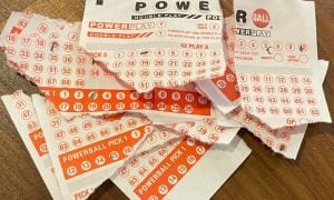 pieces of powerball draw cards