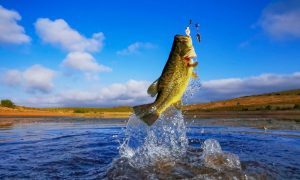 a bass jumping out of the water after getting hooked to a reel
