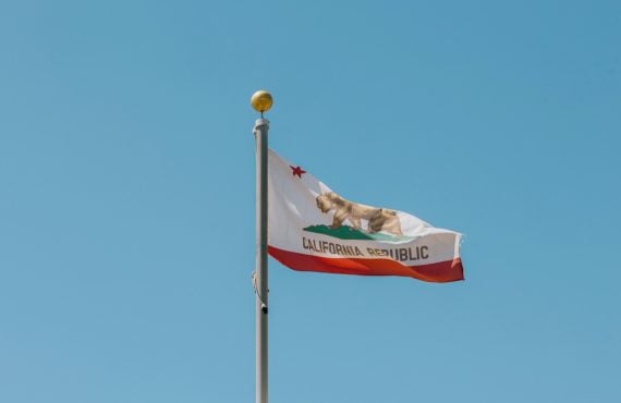 A picture of the California flag