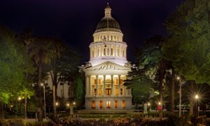 Well-Lit Entrance to the CA State Capital Building Surrounded By Trees